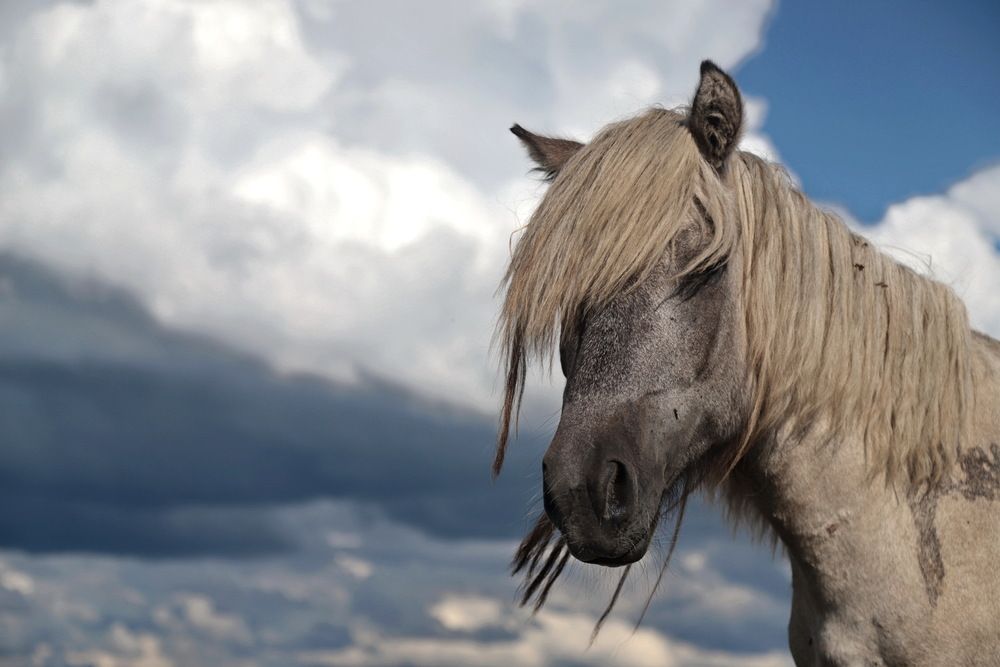 Photograph by Лада Денисова