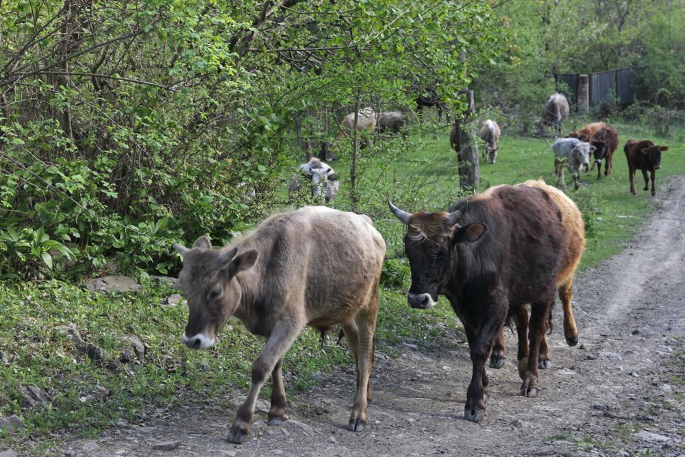 Photograph by Лада Денисова