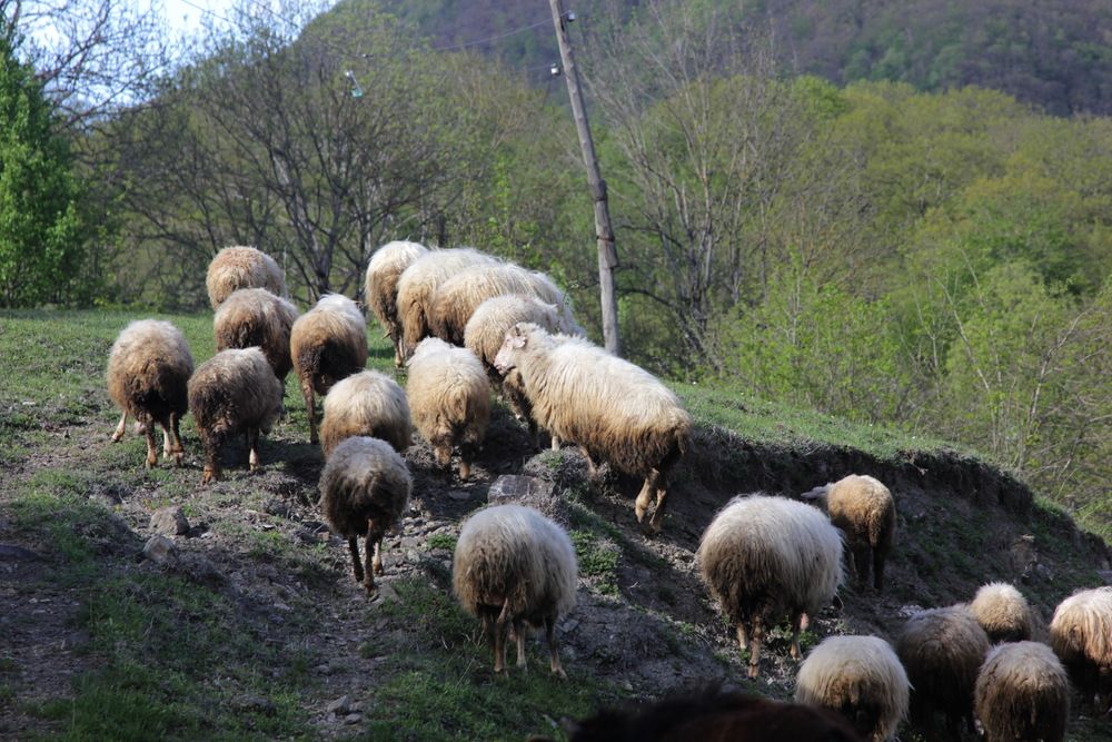 Photograph by Лада Денисова