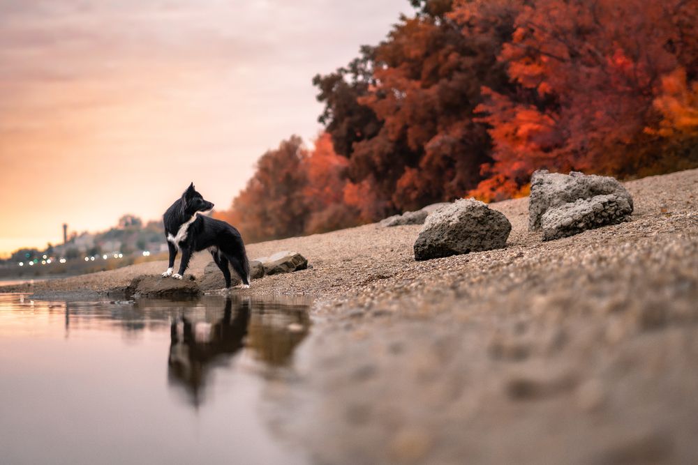 Photograph by Bő Veronika