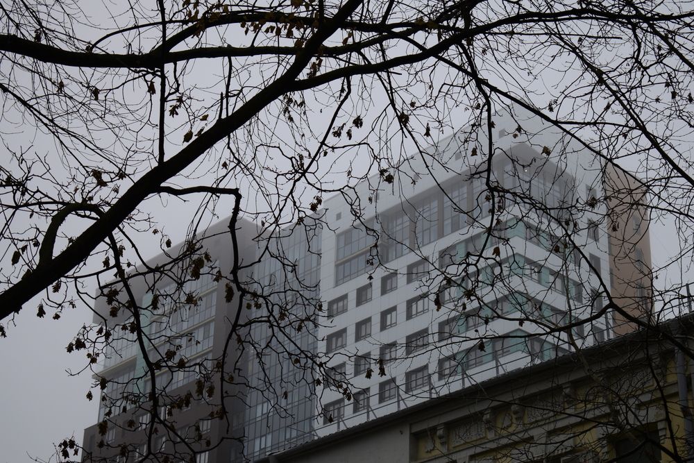 Фотография автора Анастасия Щучкина