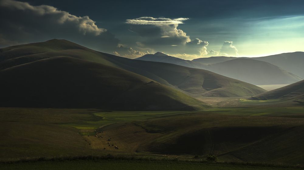 Photograph by Denis Cristian BURMELEAC