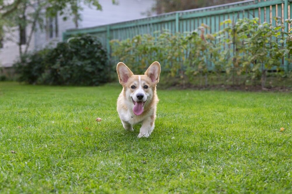 Photograph by Александр П