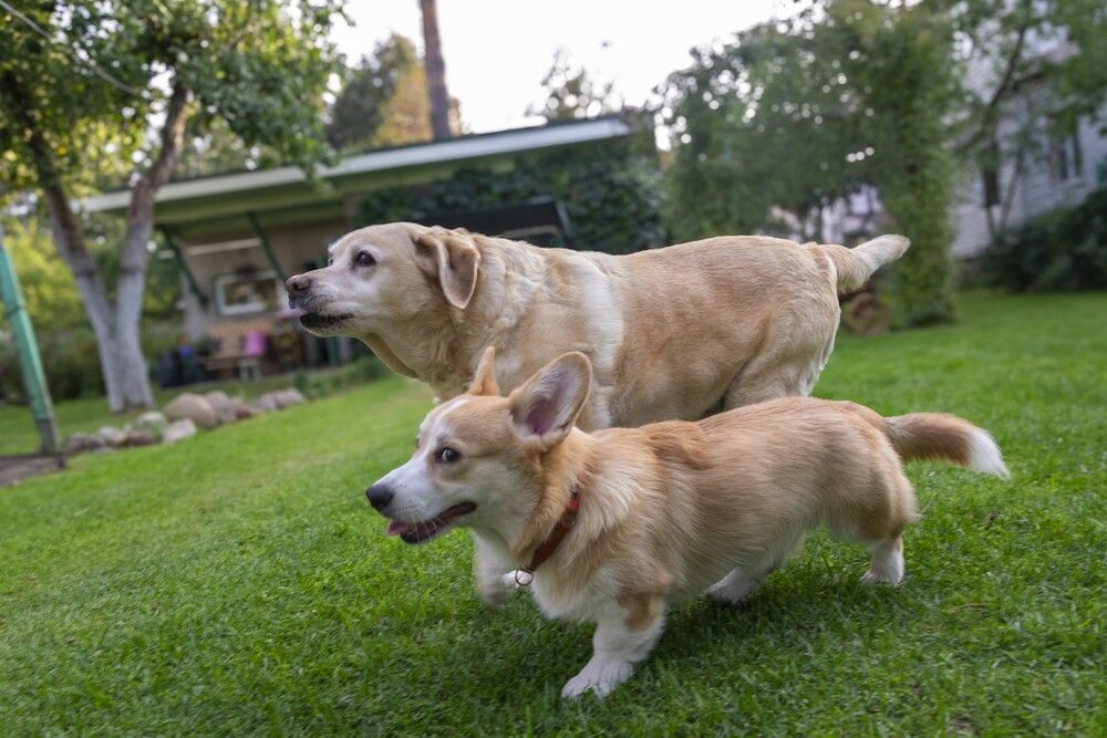 Photograph by Александр П