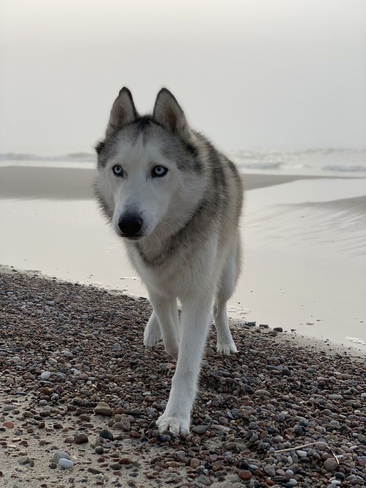 Photograph by Екатерина Балакина