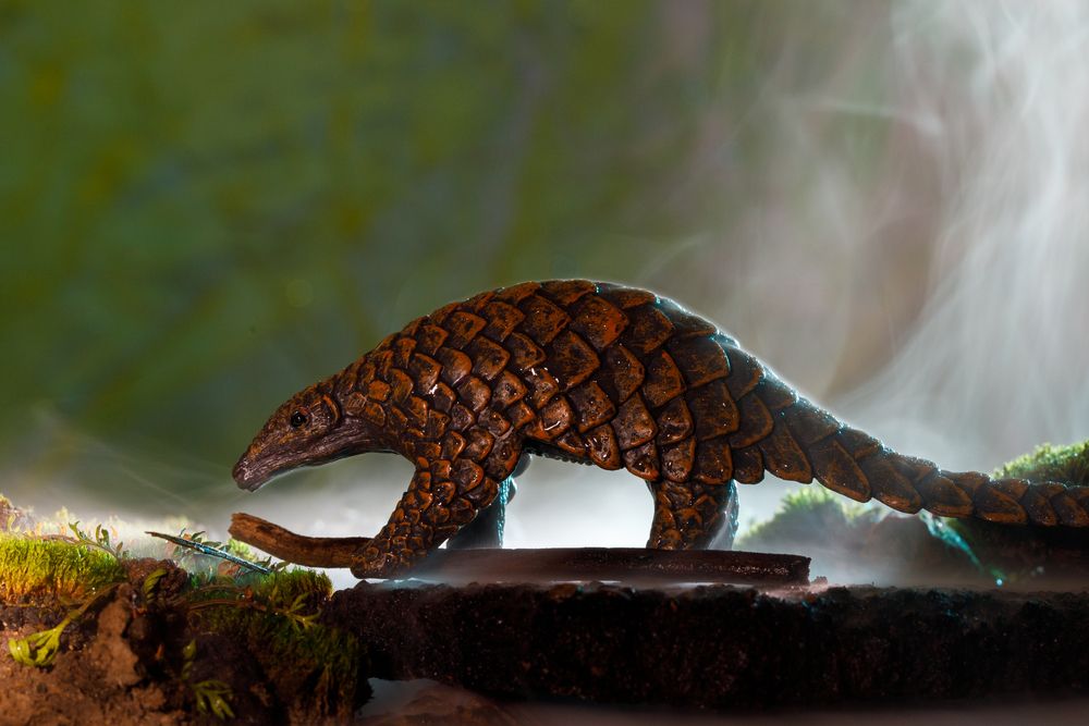 Photograph by Тоцкий Михаил