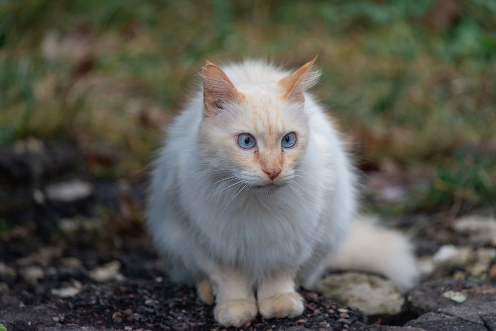 Photograph by Татьяна Жиркина