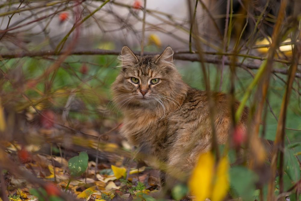 Photograph by Татьяна Жиркина