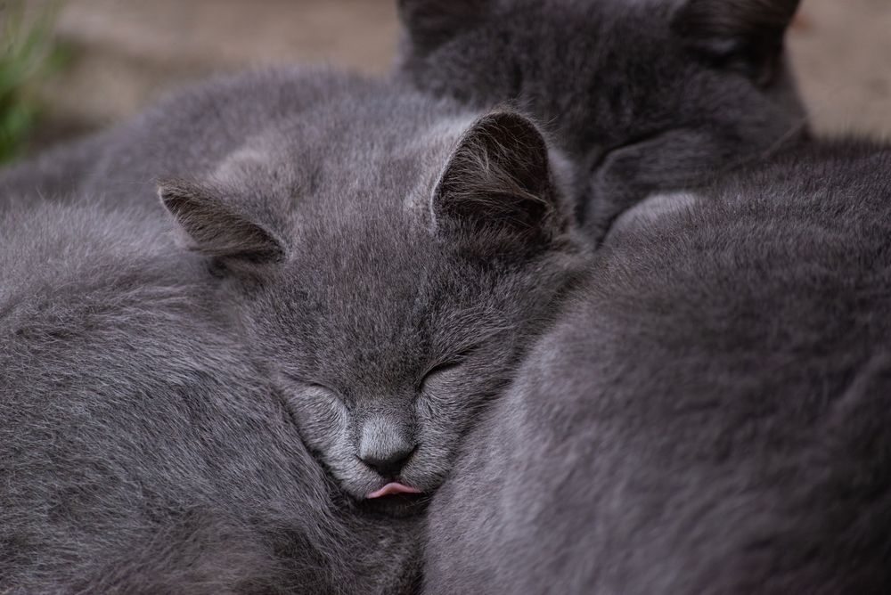 Photograph by Татьяна Жиркина