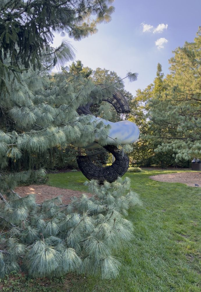 Фотография автора Ираида Гайфуллина