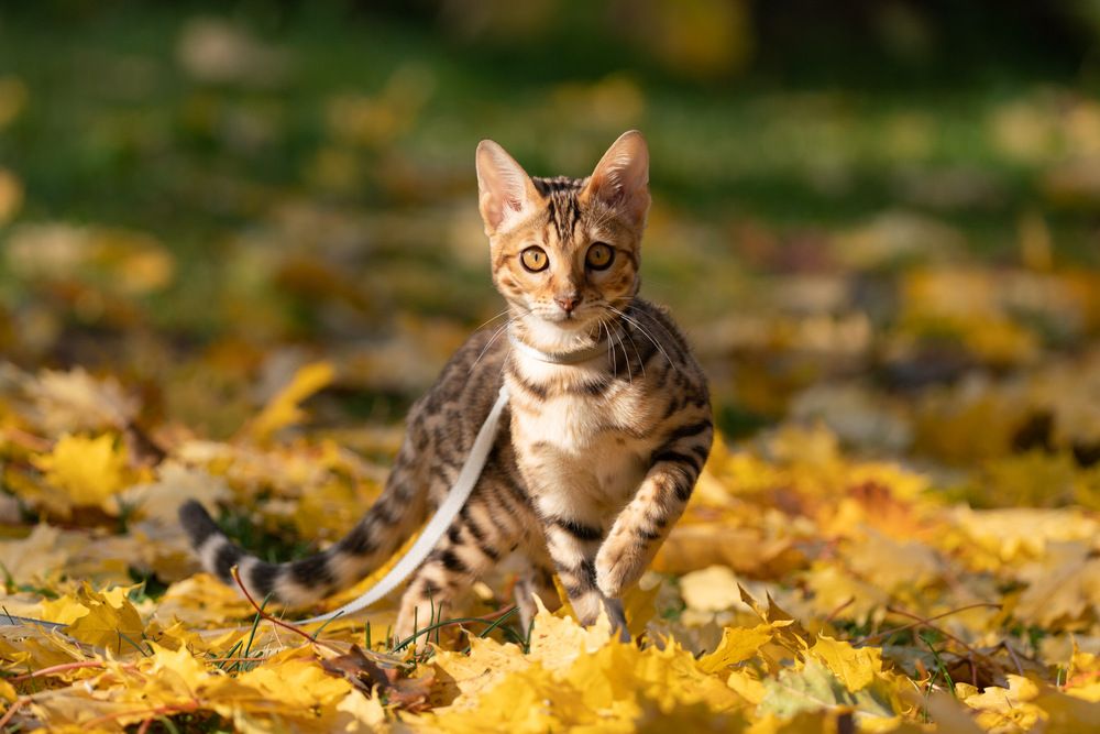 Photograph by Anna Levina