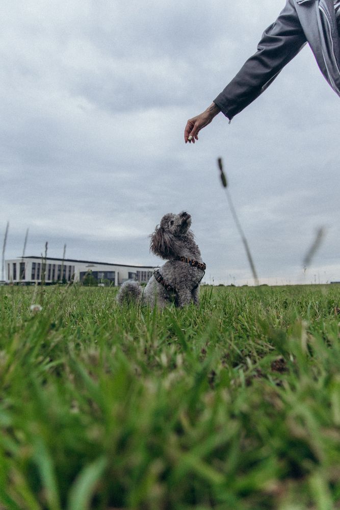 Photograph by Людмила Самсонова