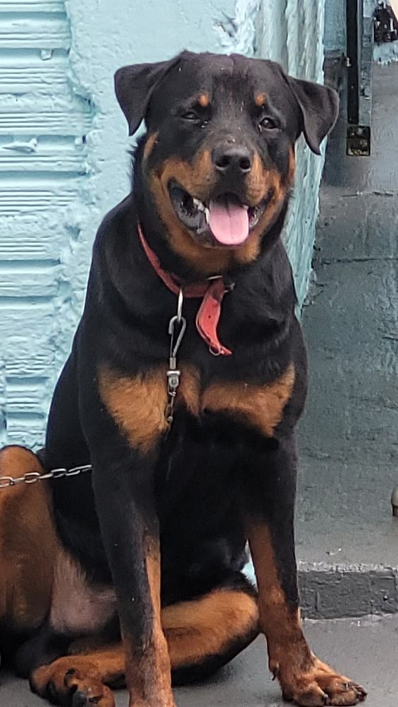 Photograph by Gilson Marcos Ferreira de OLIVEIRA