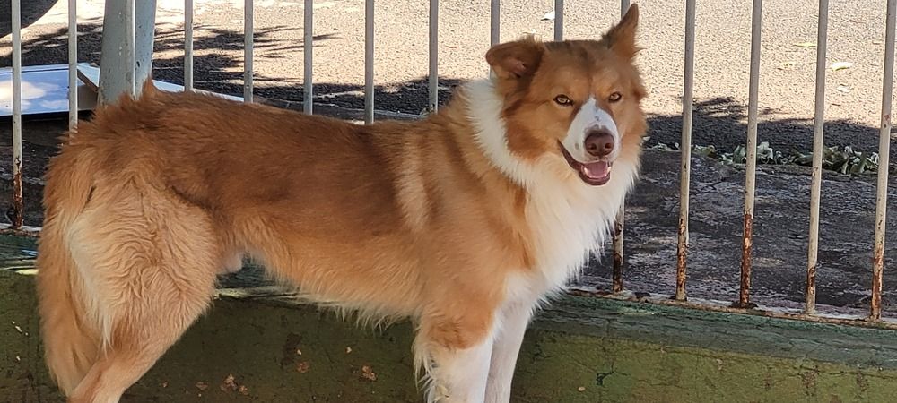 Photograph by Gilson Marcos Ferreira de OLIVEIRA