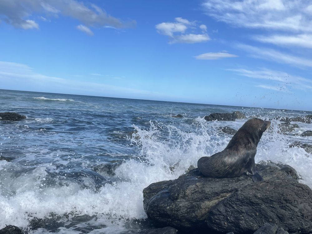 Photograph by Елена