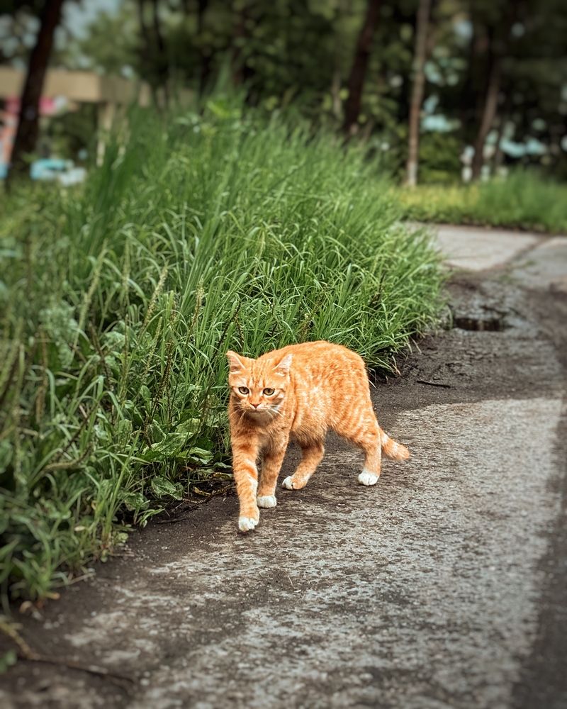 Photograph by Юлия Куклина