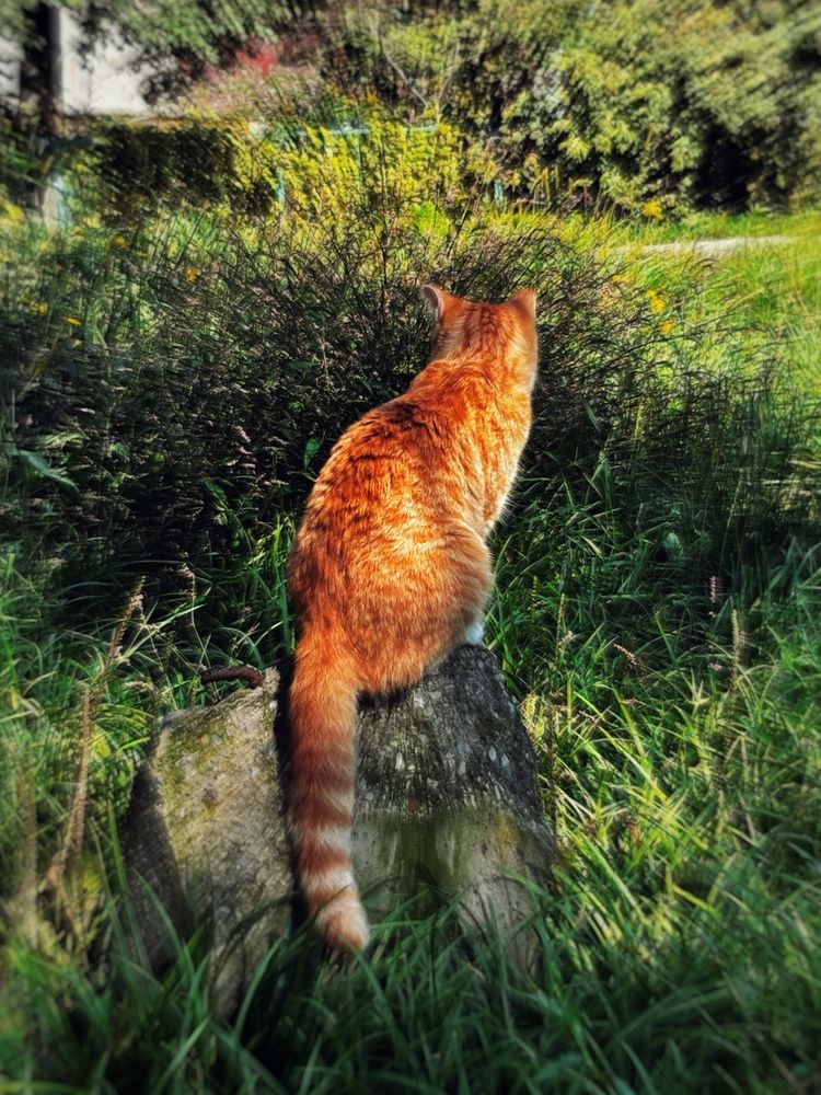 Photograph by Юлия Куклина