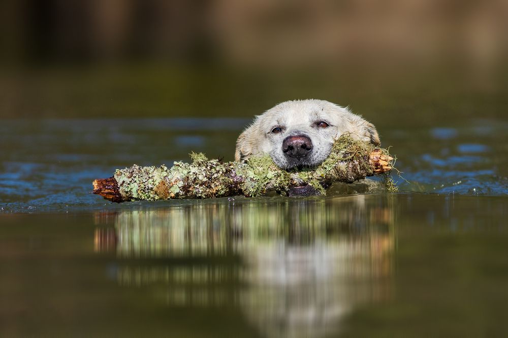 Photograph by Valdir Hobus