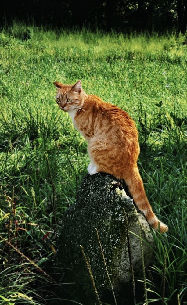 Photograph by Юлия Куклина