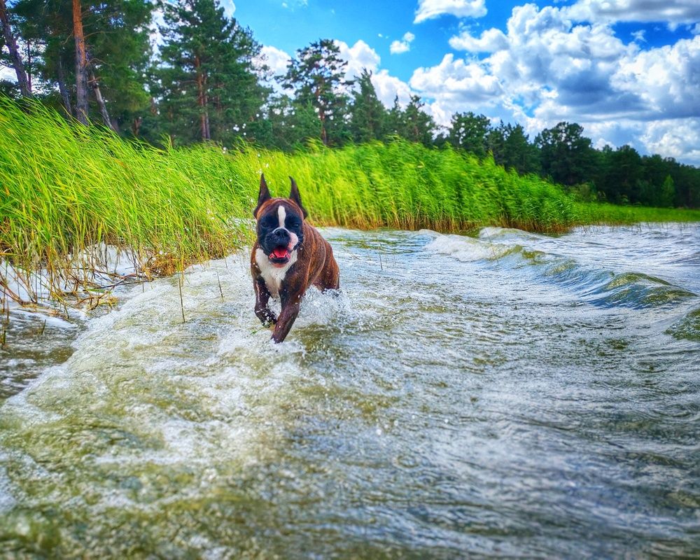 Photograph by Ксения Орлова