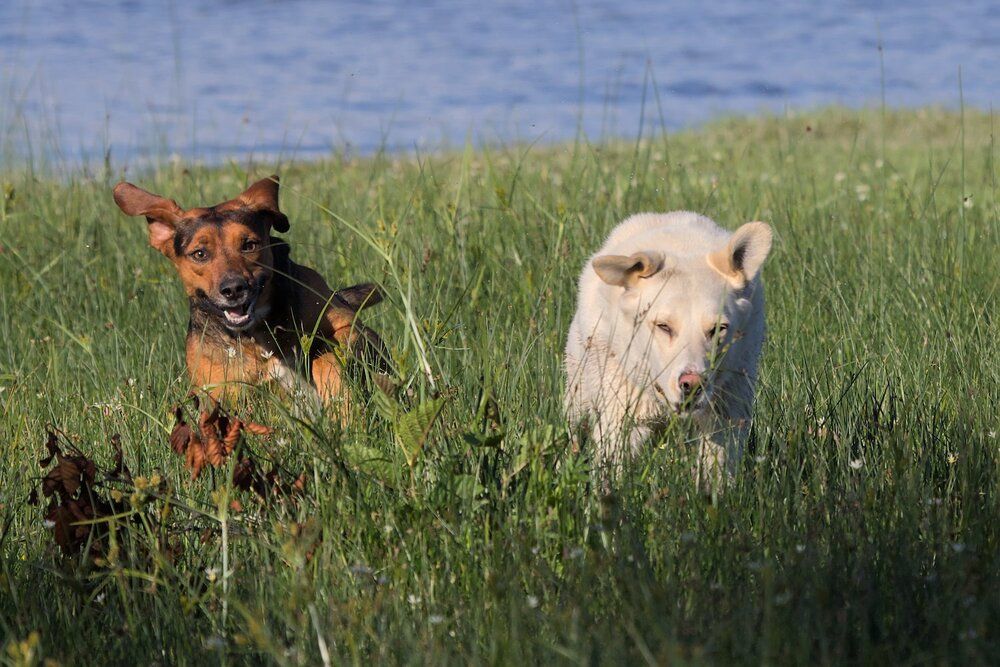 Photograph by Andrés Carmona