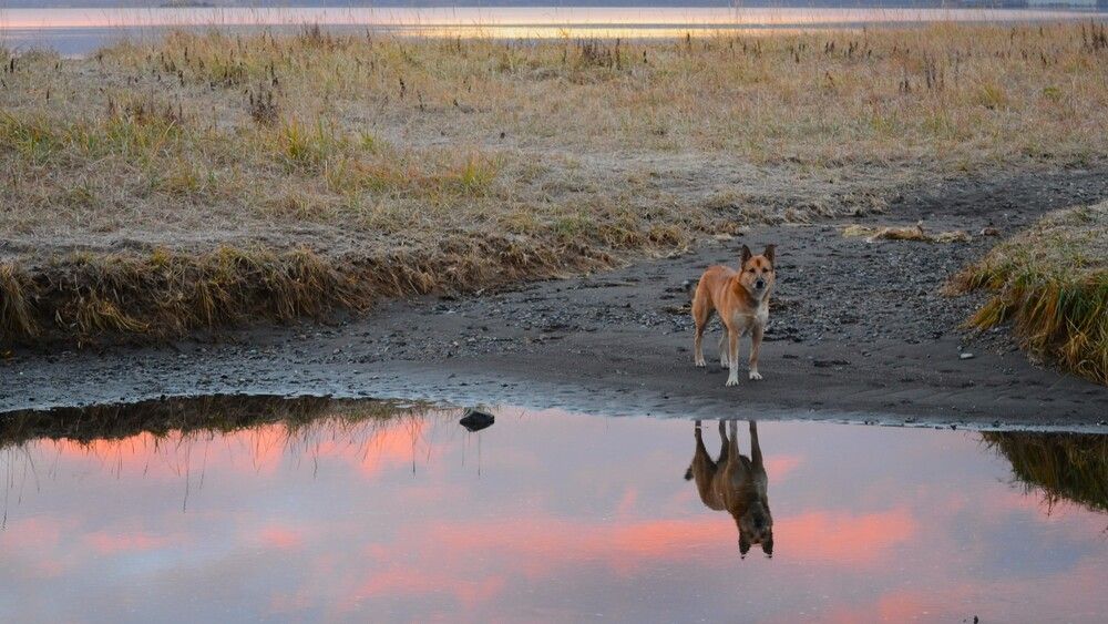 Photograph by Ения Семина