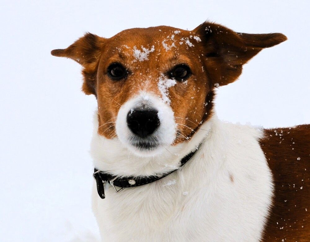 Photograph by Ения Семина