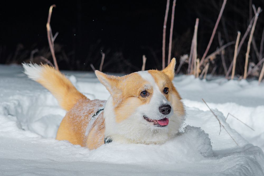 Photograph by Сергей Князев