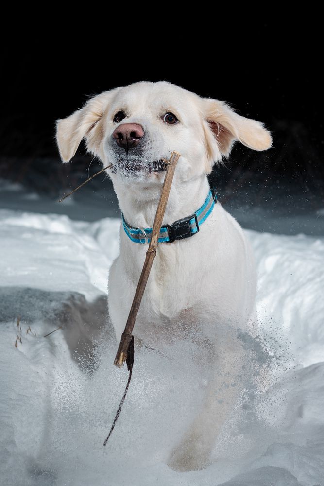 Photograph by Сергей Князев