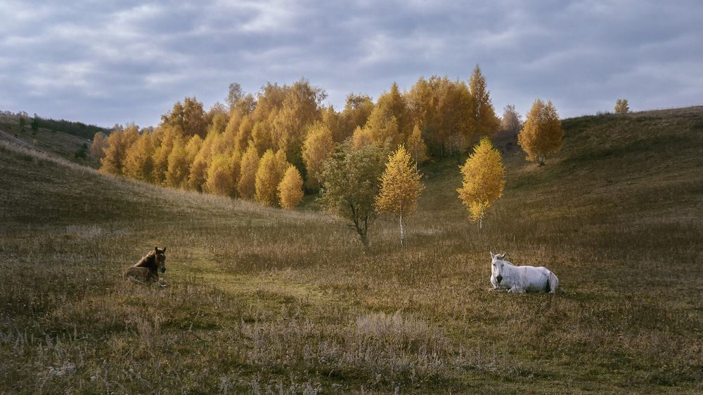 Photograph by Светлана Урманцева