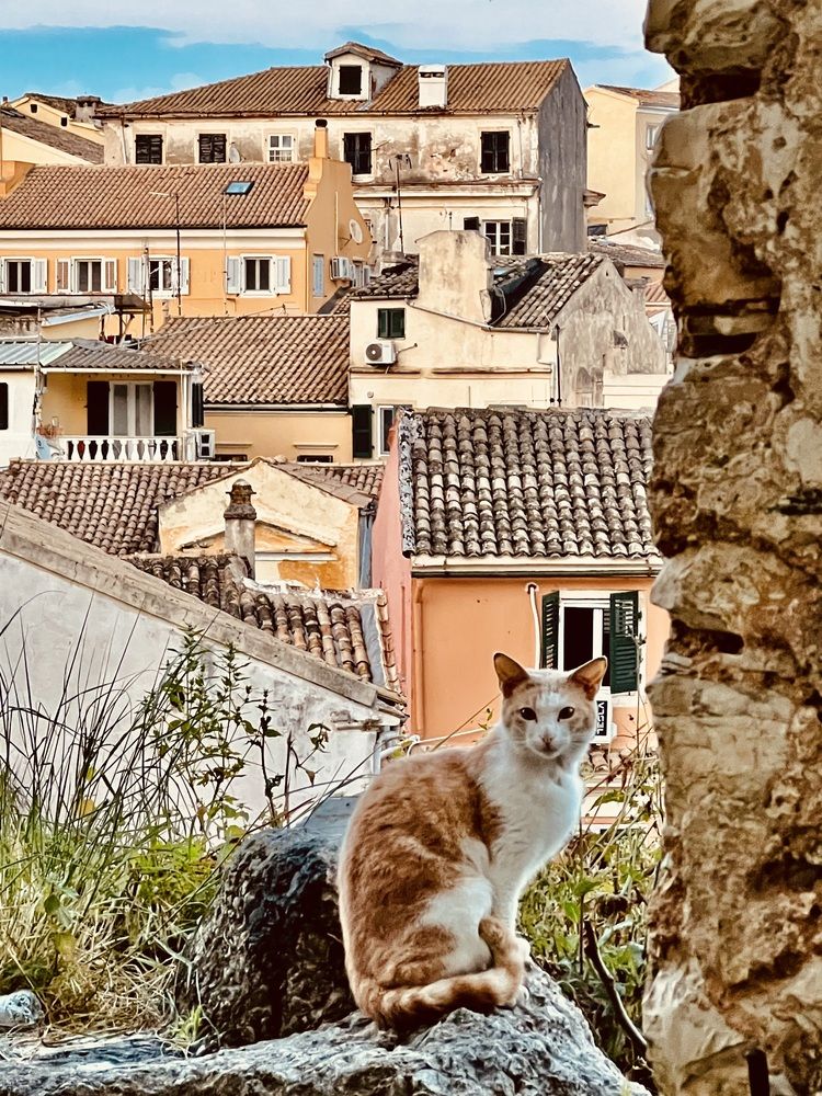 Photograph by Eleni Christogianni