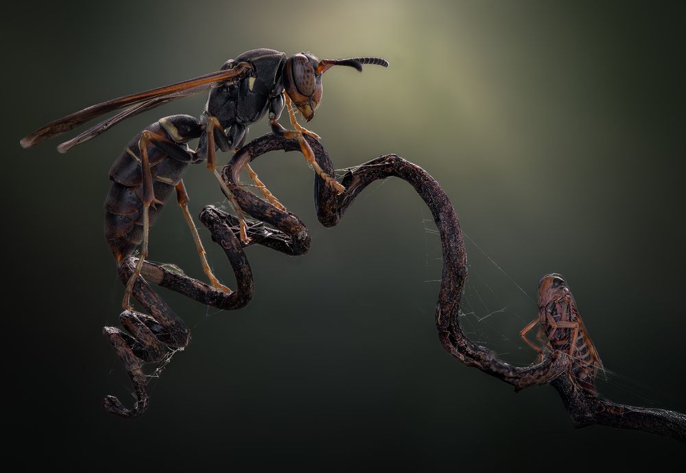 Photograph by Atul Saluja