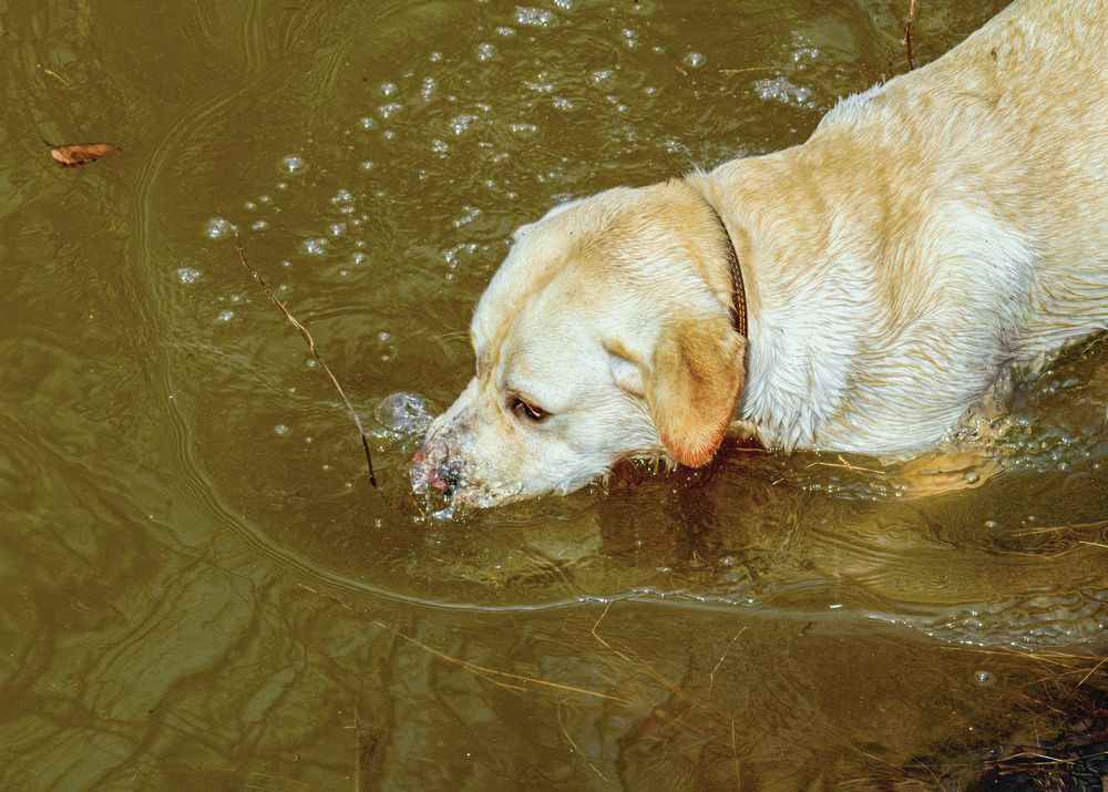 Photograph by Юрий Спасенников