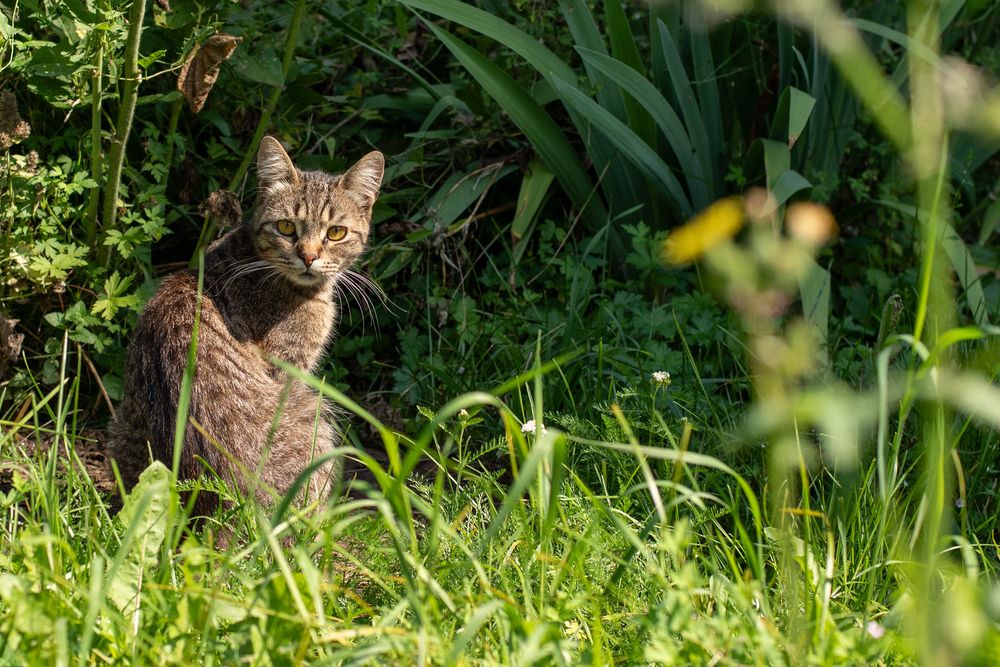 Photograph by Ксения Шилина