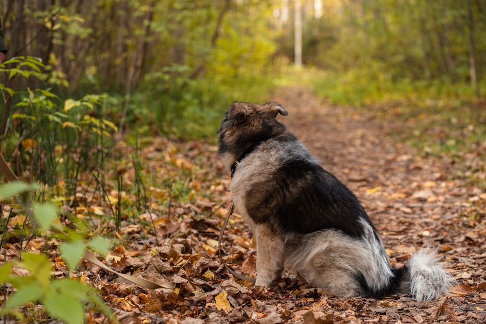 Photograph by Ксения Шилина