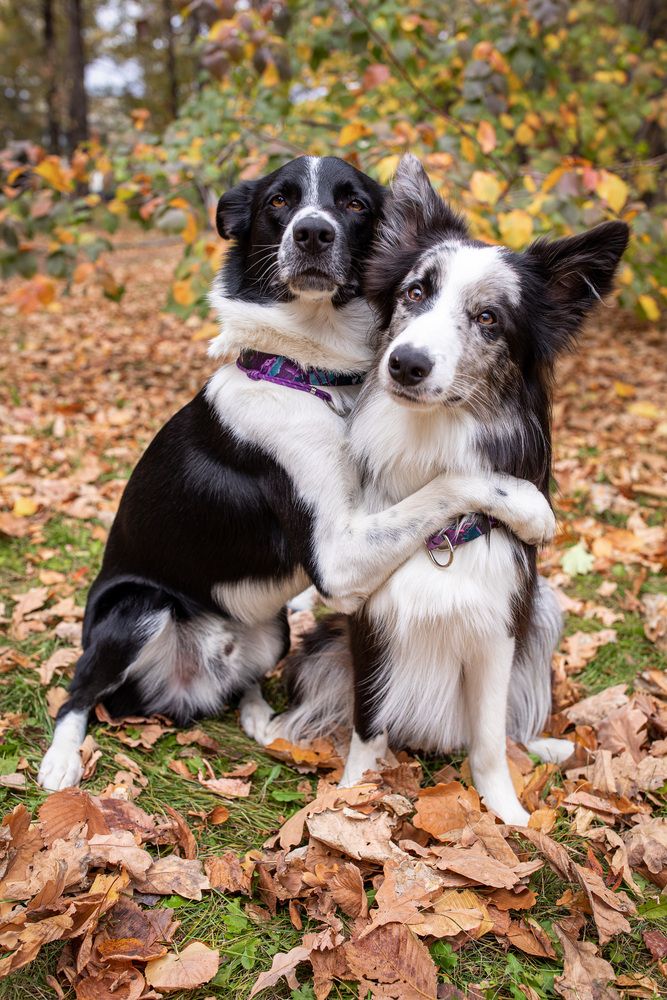 Photograph by Татьяна Арендаренко