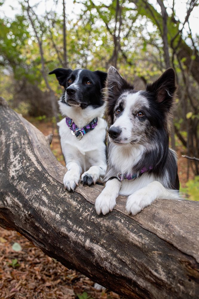 Photograph by Татьяна Арендаренко