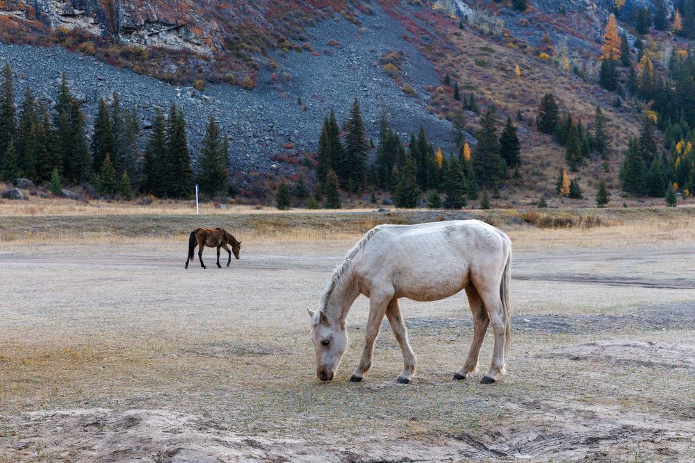 Photograph by Людмила Аксенова