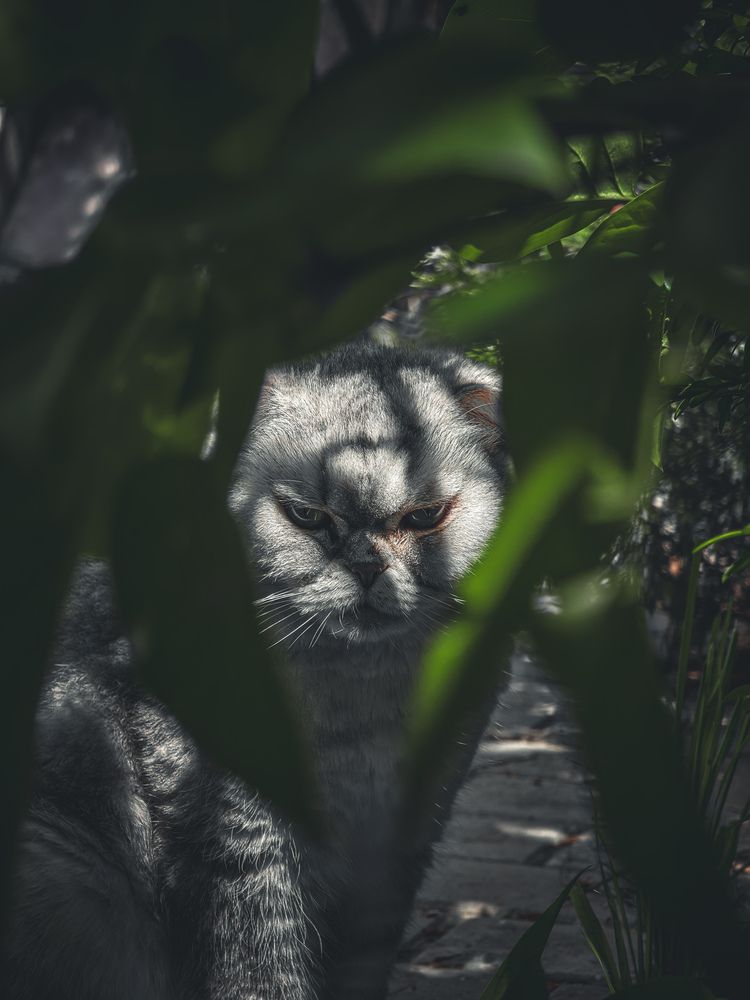 Фотография автора Евгений Былков