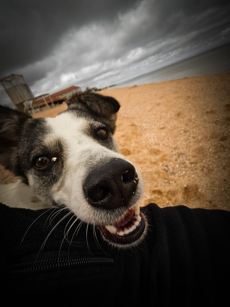 Фотография автора Евгений Былков