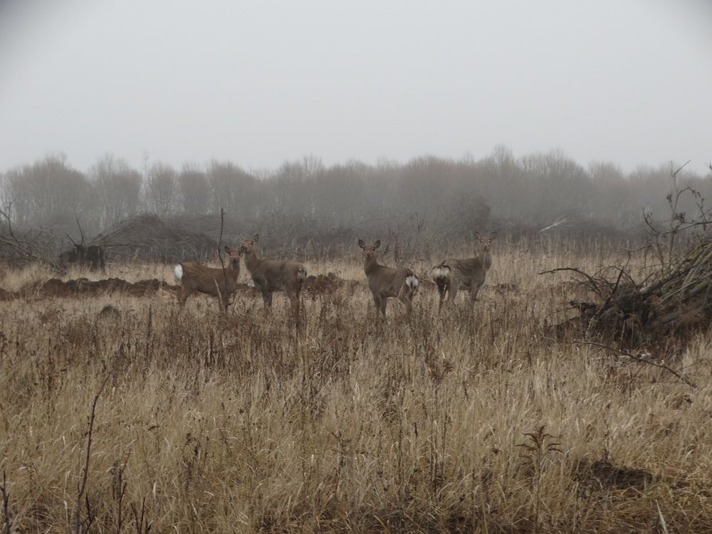 Photograph by Сергей Беляев