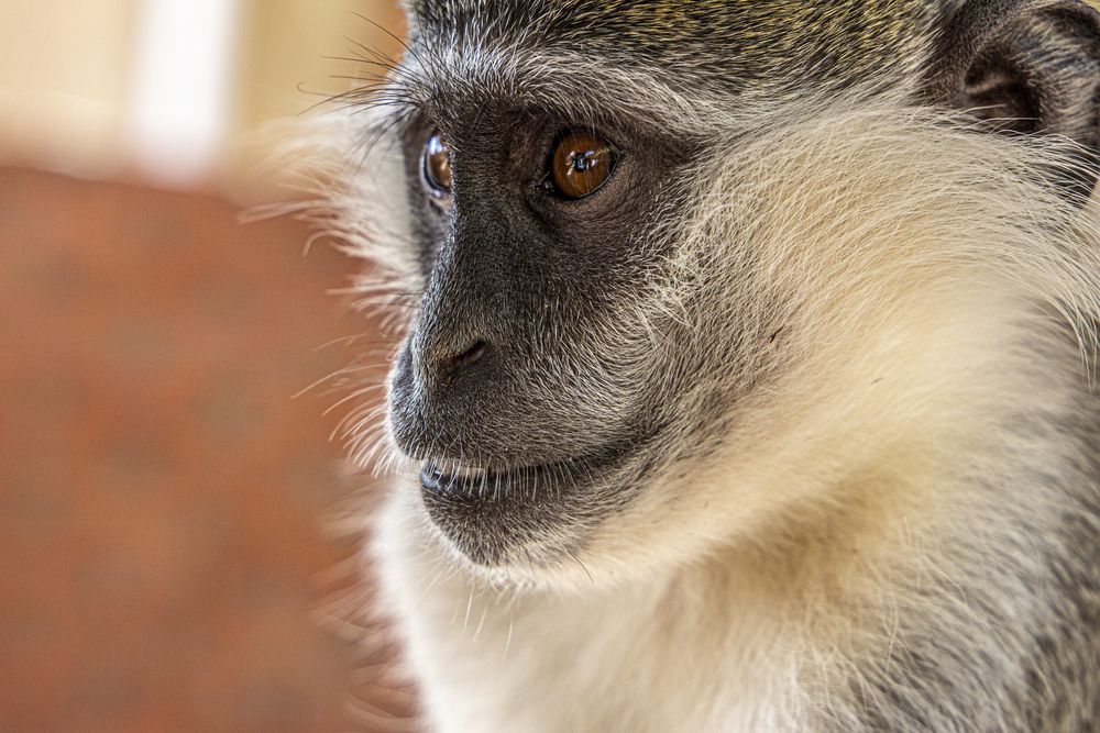 Photograph by Heba Ahmed