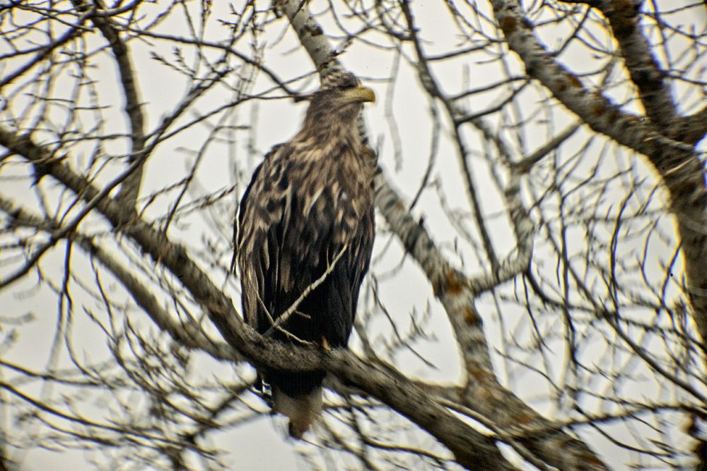 Photograph by миша