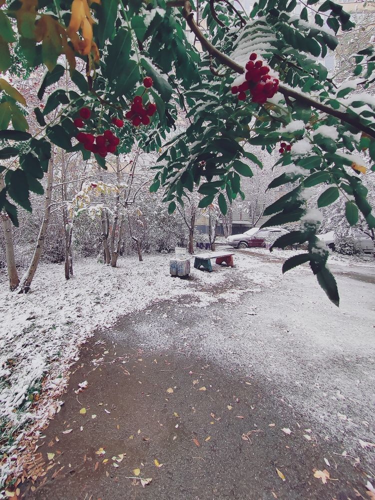 Photograph by Наталья Веряскина