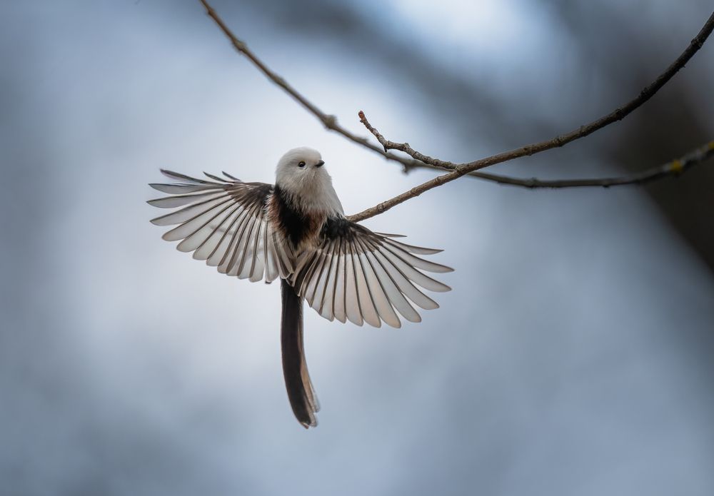 Photograph by Ширяев Константин