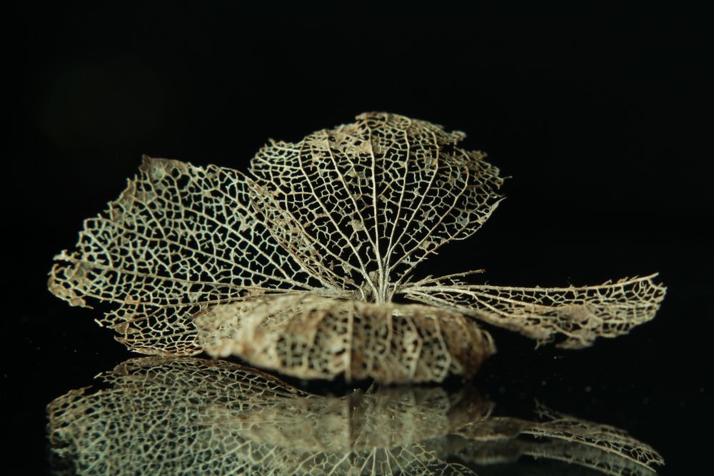 Photograph by Людмила Таерова