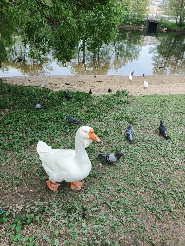 Photograph by Наталья Покрепина