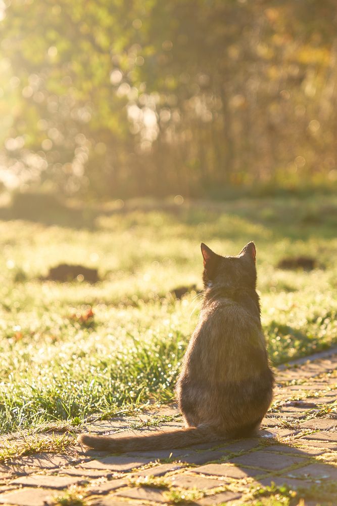 Photograph by Воробьева Людмила