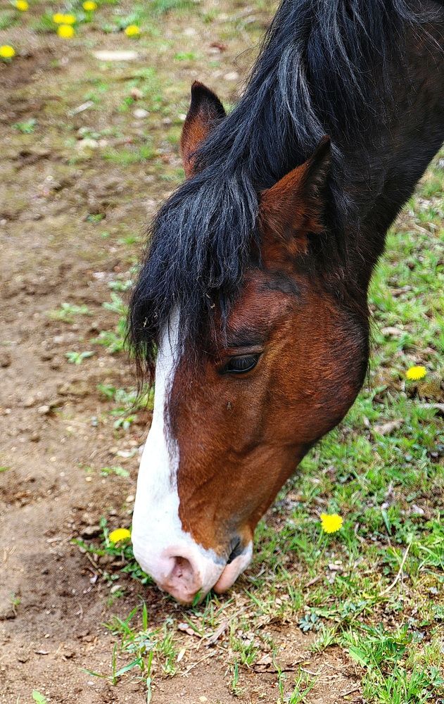 Фотография автора АЛЕКСАНДР ЦЫГЕЛЬНЮК