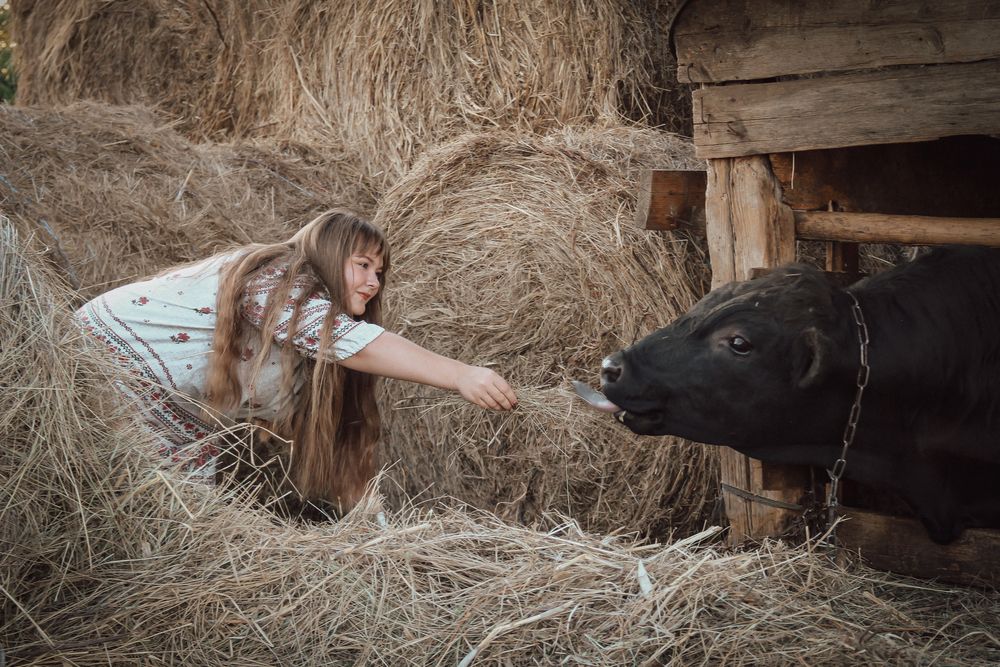 Фотография автора Екатерина Литвинова